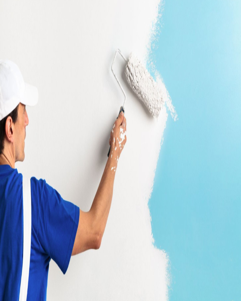 Painting & Renovation